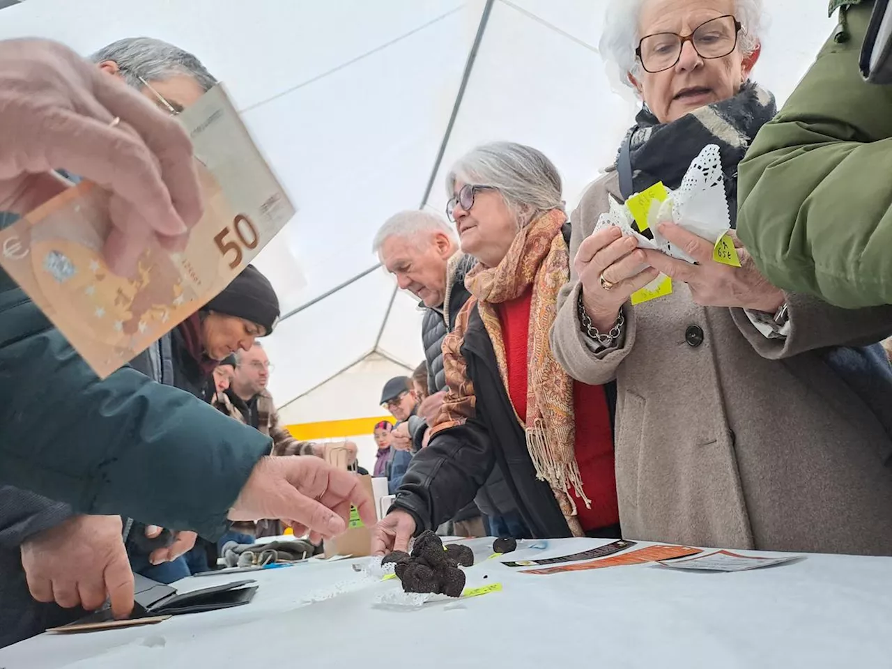 Peu de truffes, mais beaucoup d’acheteurs : à Marmande, la ruée sur le diamant noir