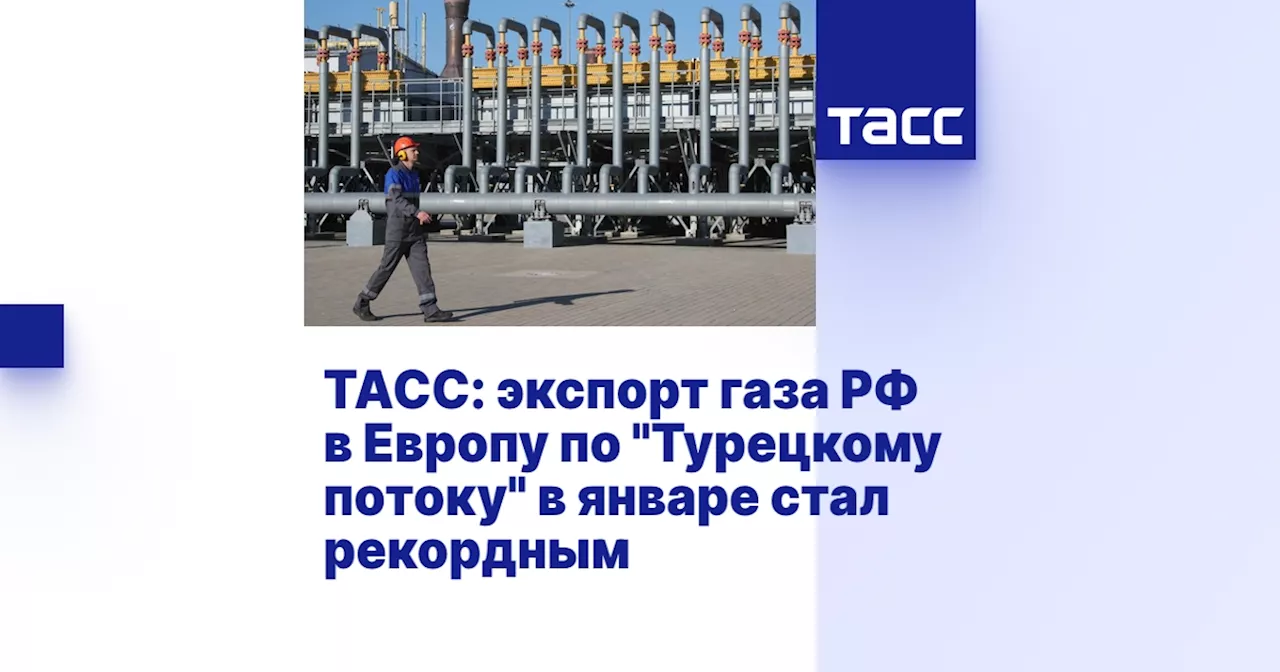 Россия установила рекорд поставок газа в Европу по «Турецкому потоку»