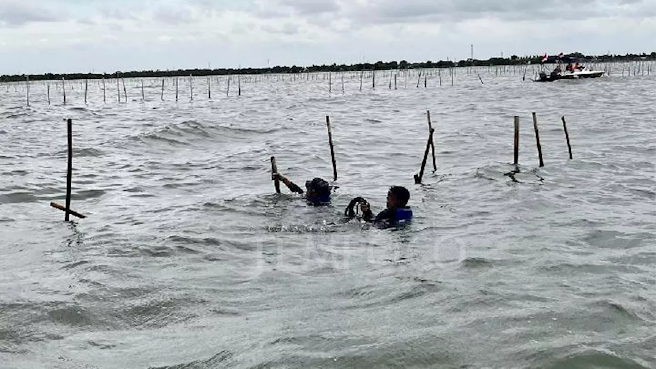 Komisi IV DPR akan Mendalami Kasus Pemasangan Pagar Laut di Berbagai Wilayah