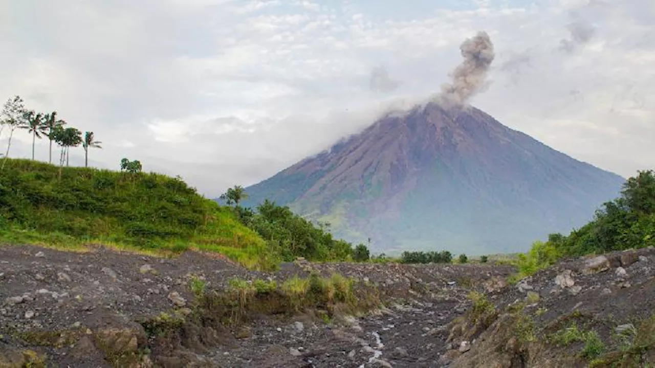 Meletus 15 Kali per Hari, Semeru Gunung Api Paling Aktif di Indonesia Awal Tahun Ini