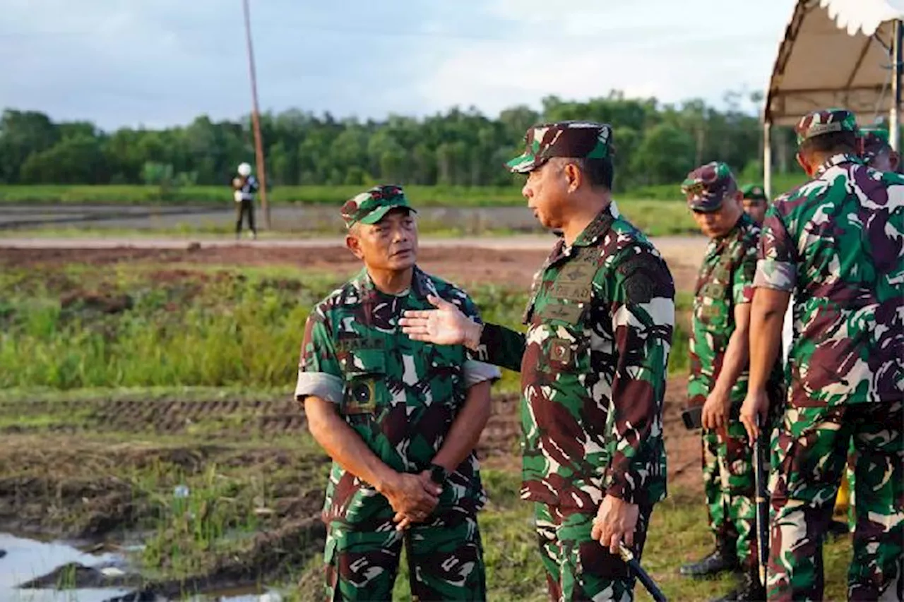 Perpres Penertiban Kawasan Hutan: Pendekatan Militeristik atau Perbaikan Tata Kelola?