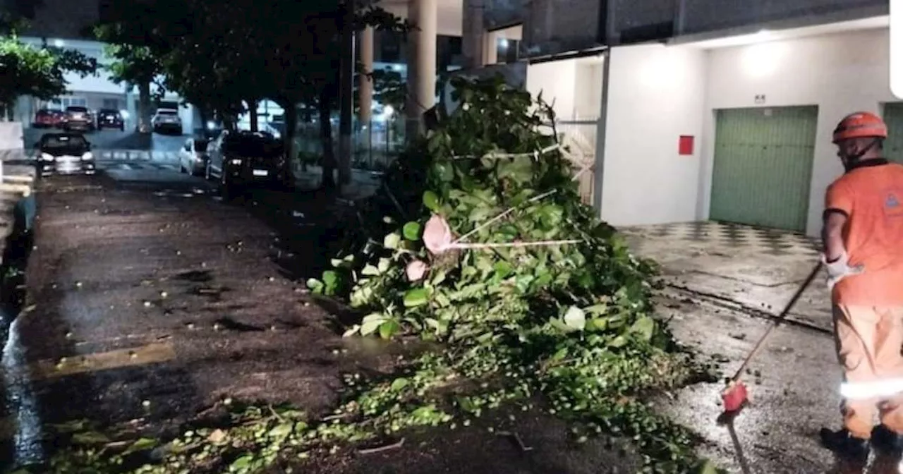 Chuva forte atinge SP e região metropolitana; Guarujá registra três deslizamentos