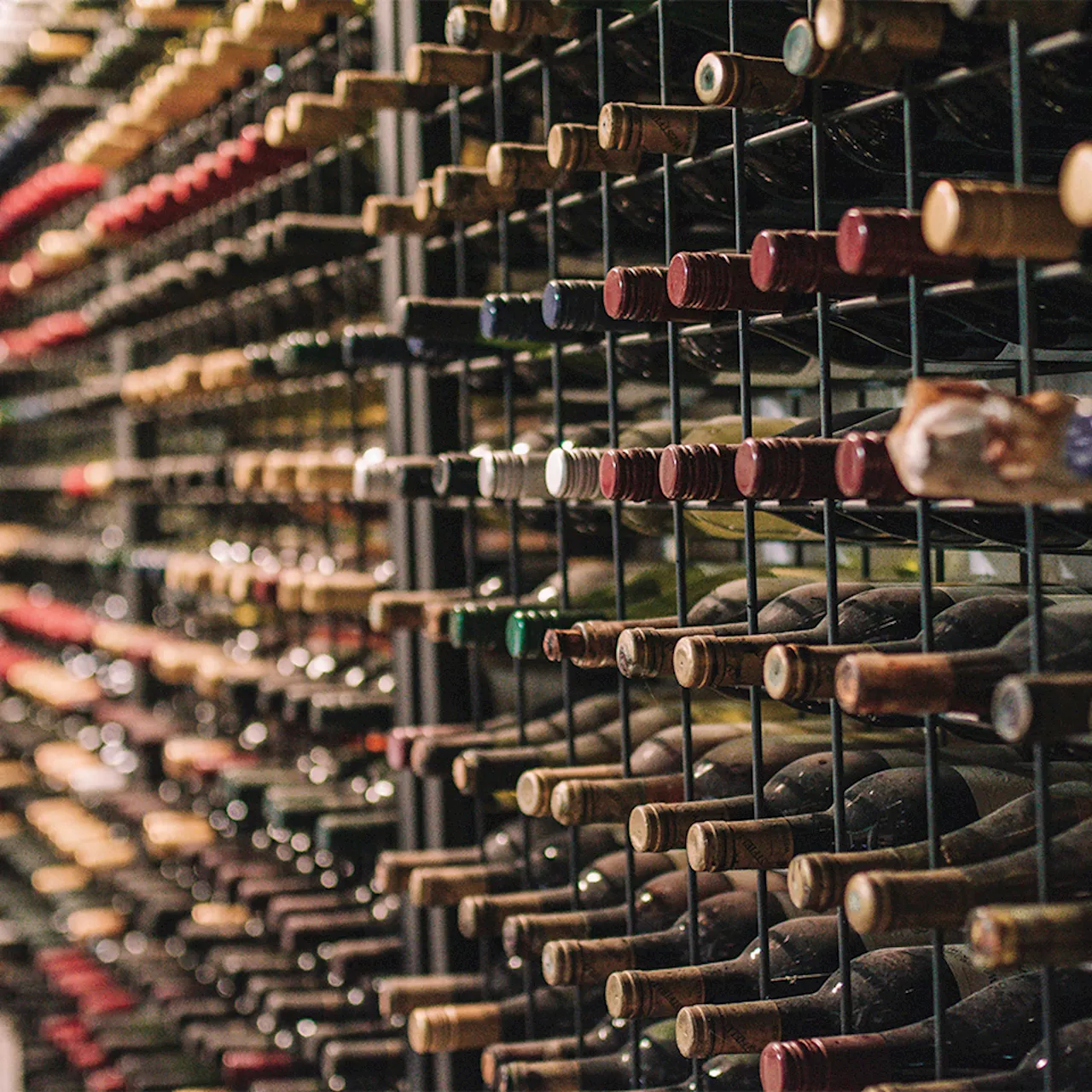 Creating Your Wine Cellar: A Guide to Building a Personal Collection