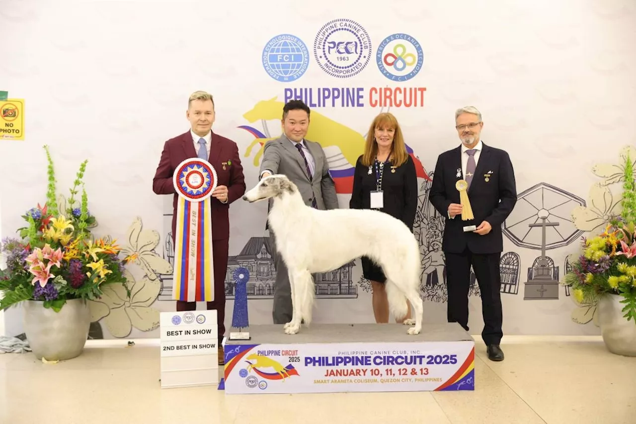 Dogs of all breeds and sizes come together for Asia's biggest dog show