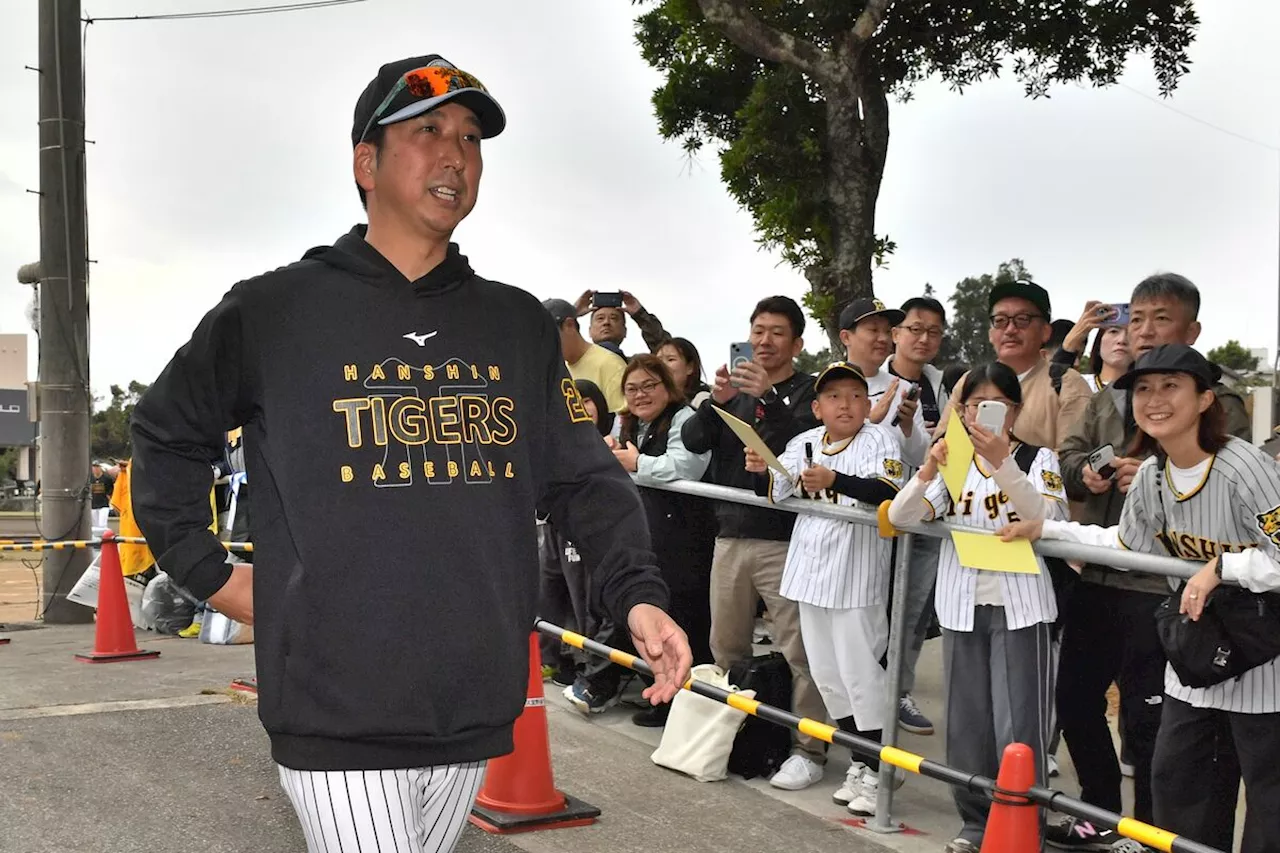 プロ野球キャンプ 沖縄で7球団が始動 球場に多くのファン【写真と動画で紹介】