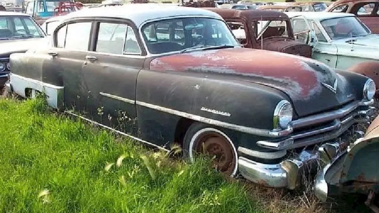 Look inside overgrown and rusty 15-acre junkyard filled with rare 1920s motors