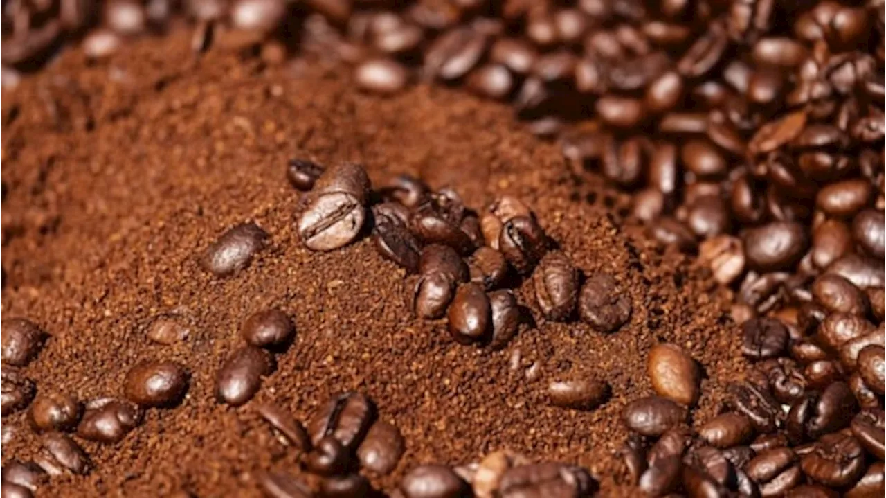 Coffee for Hair Growth: A Buzzworthy Beauty Trend