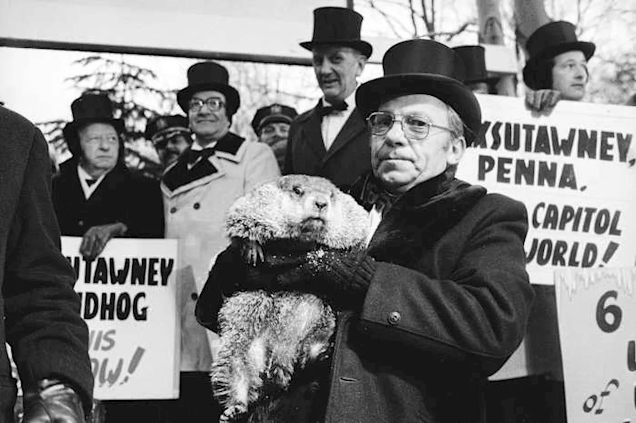 Beneath the surface, Groundhog Day's deep roots predate Punxsutawney Phil