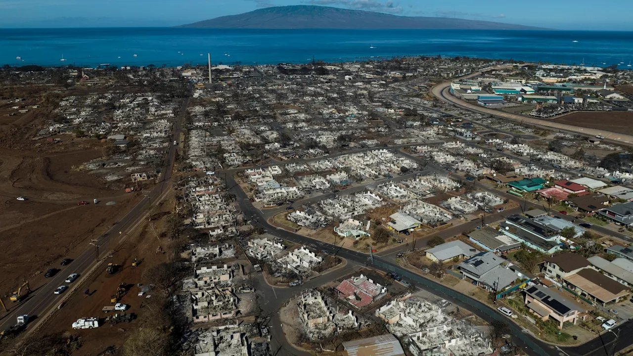 Court rules against insurance companies in Maui wildfire; $4B settlement can proceed