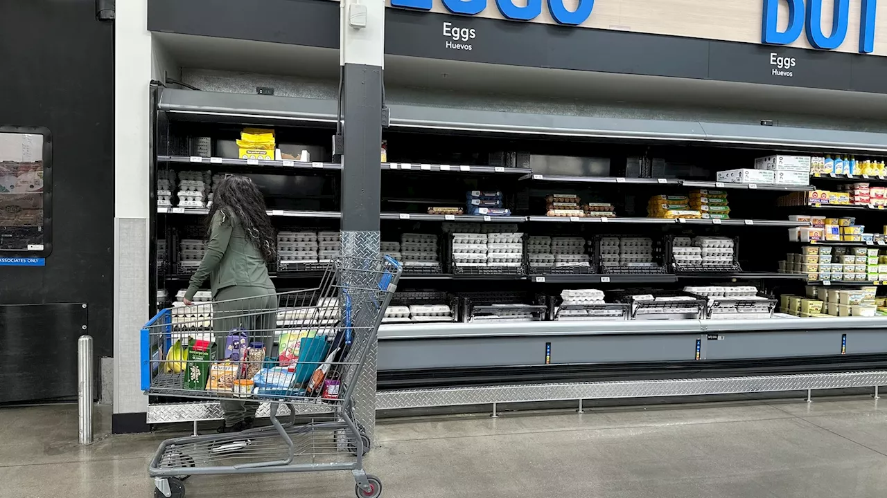 Trader Joe's, Costco, Sprouts limit purchases on fresh eggs amid shortages