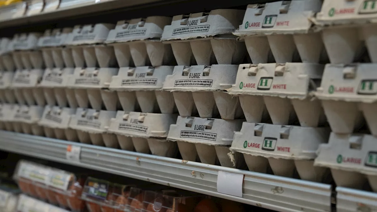 Trader Joe's, Costco, Sprouts limit purchases on fresh eggs amid shortages