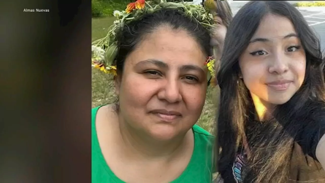 Gov. Pritzker signs 'Karina's bill' to remove guns from domestic violence situations