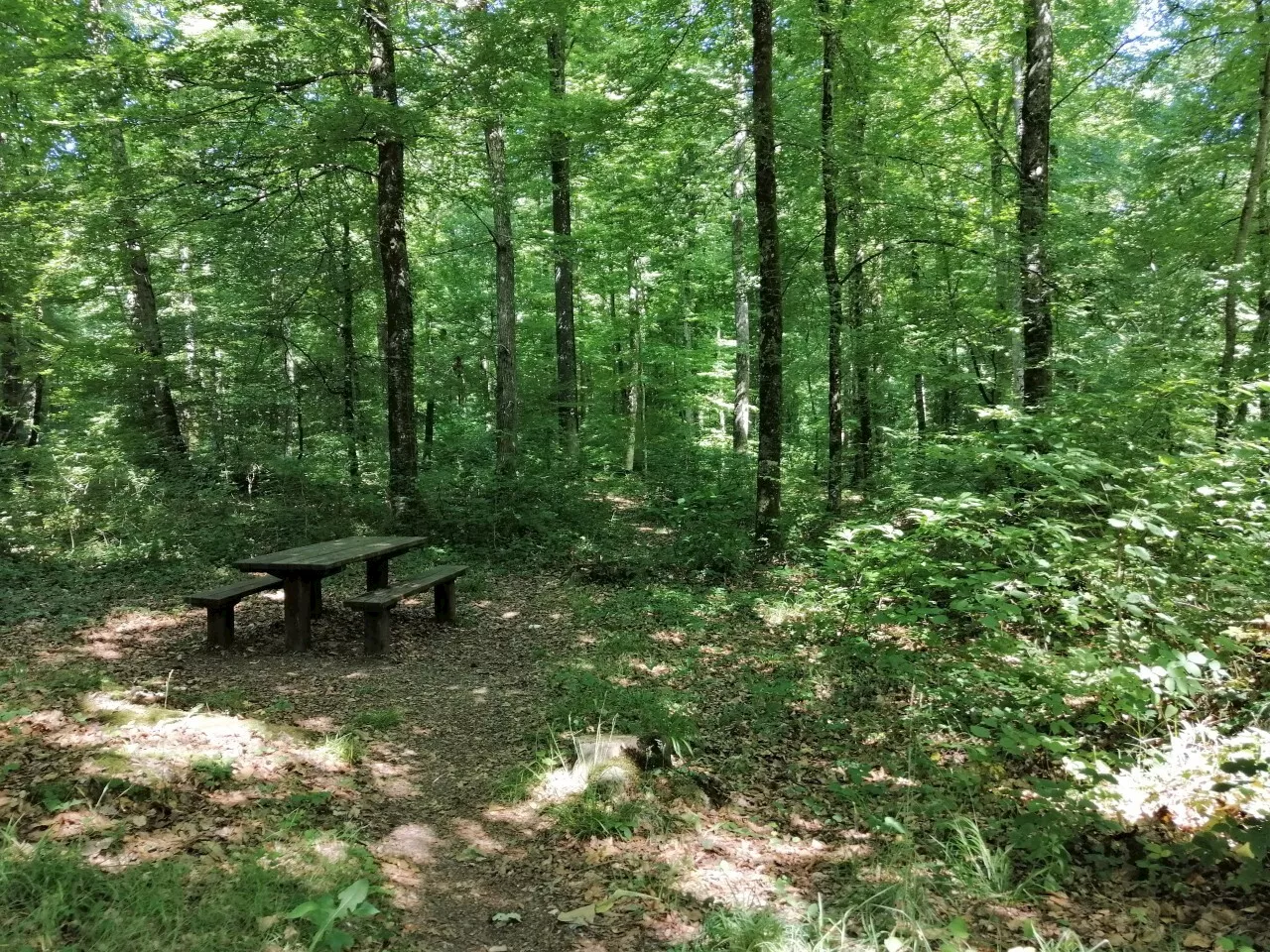 Le Var en voie de créer un Parc naturel régional pour protéger ses massifs