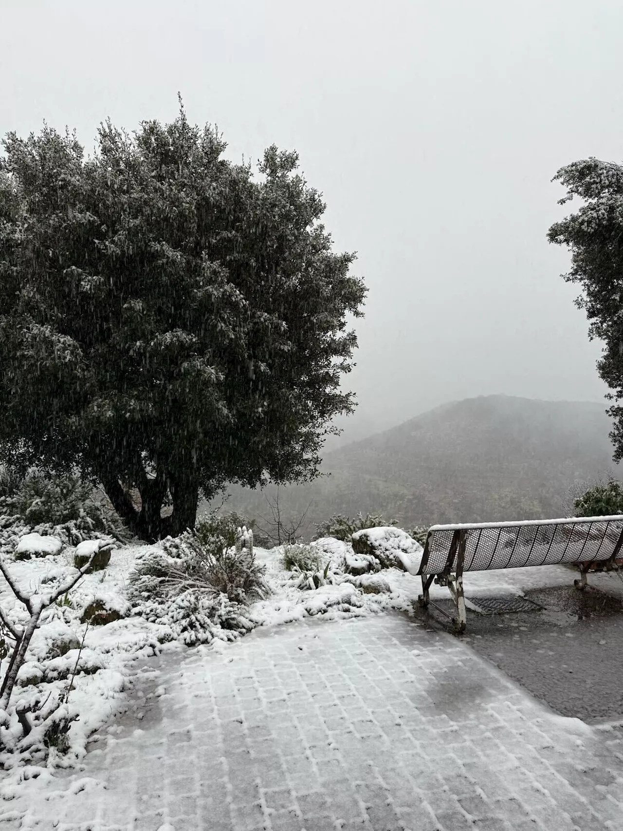 Neige en Plain: La France Sous L'Influence d'Un Anticyclone Puissant