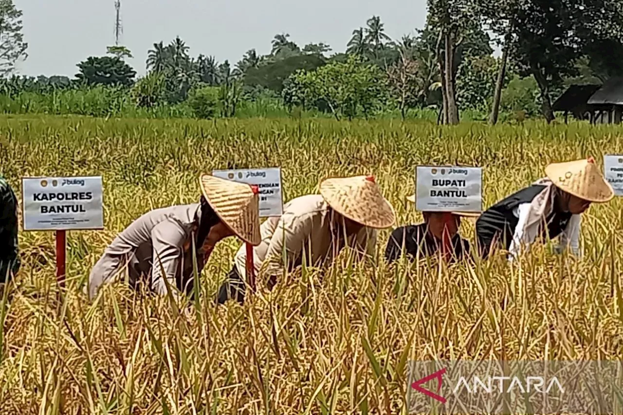 Bappenas Jaga Pertumbuhan Ekonomi, Bulog Fokus Swasembada Pangan