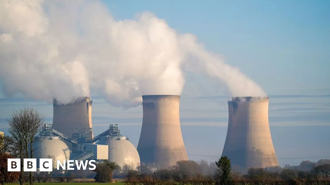 UK Government Strikes New Subsidy Deal with Controversial Biomass Power Plant