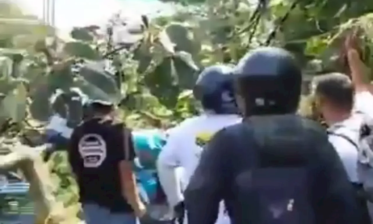 Uniforme Fallece Tras Caída de Árbol en Avenida 33 de Medellín