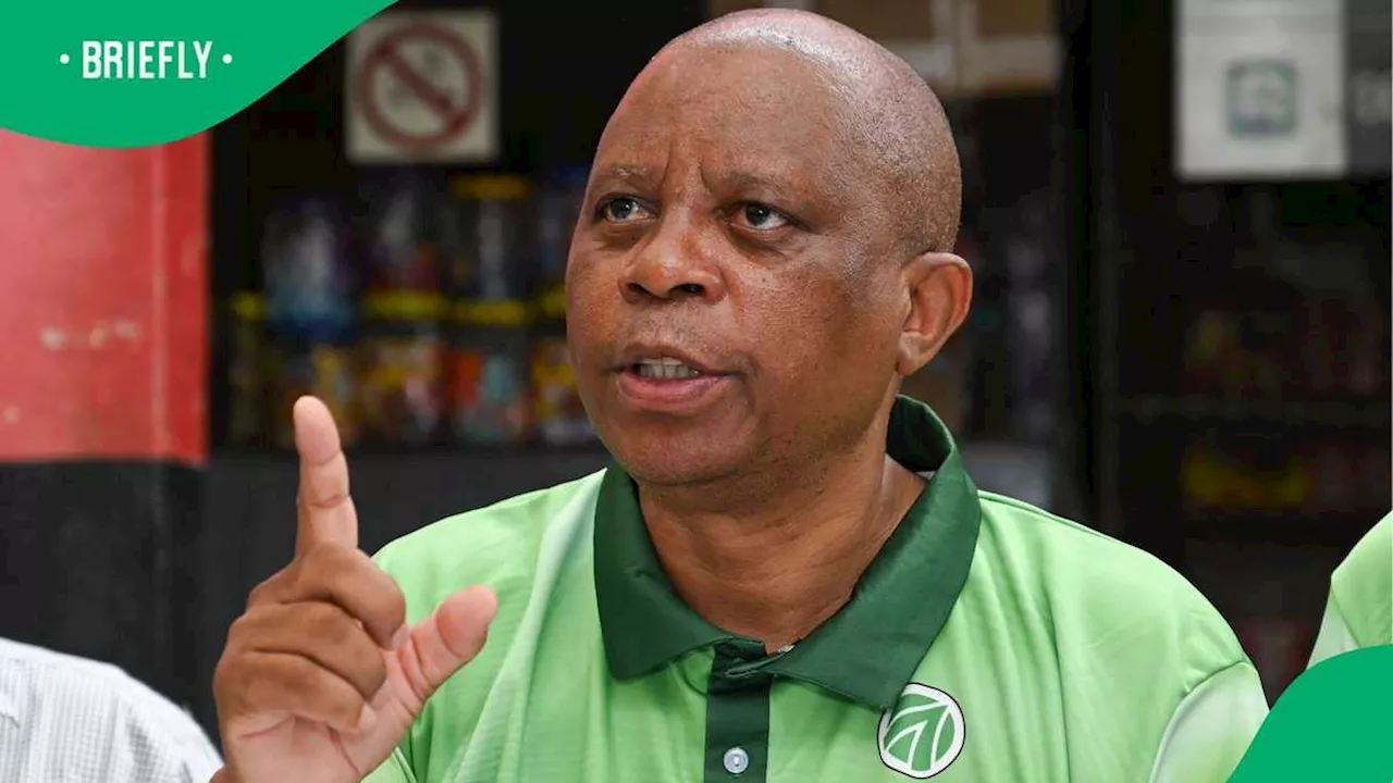 Herman Mashaba Criticised Over Response to Woman Moving to USA, SA Accuses Him of Lacking Compassion