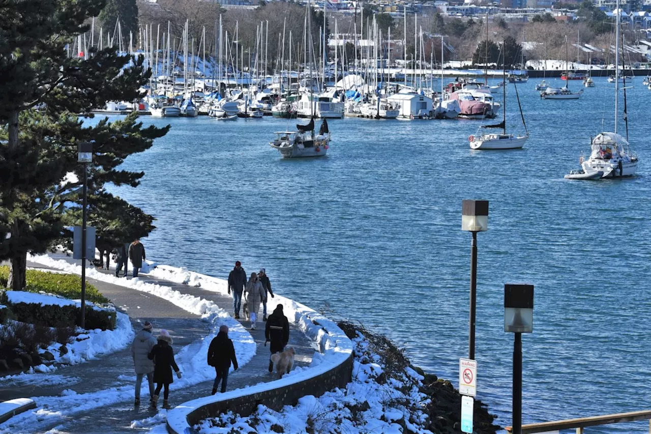 Sunny but frigid: Vancouver to experience a cold spell this week