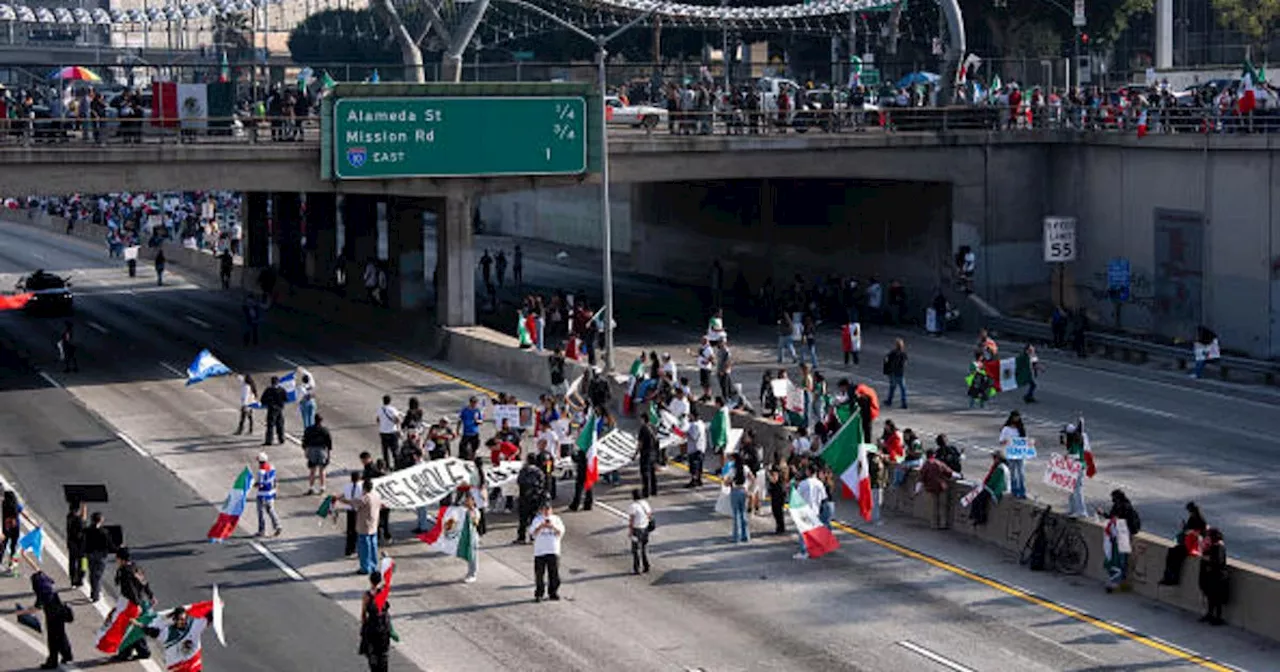 LA DA Charges Man With Felony for Throwing Books onto 101 Freeway During Protest