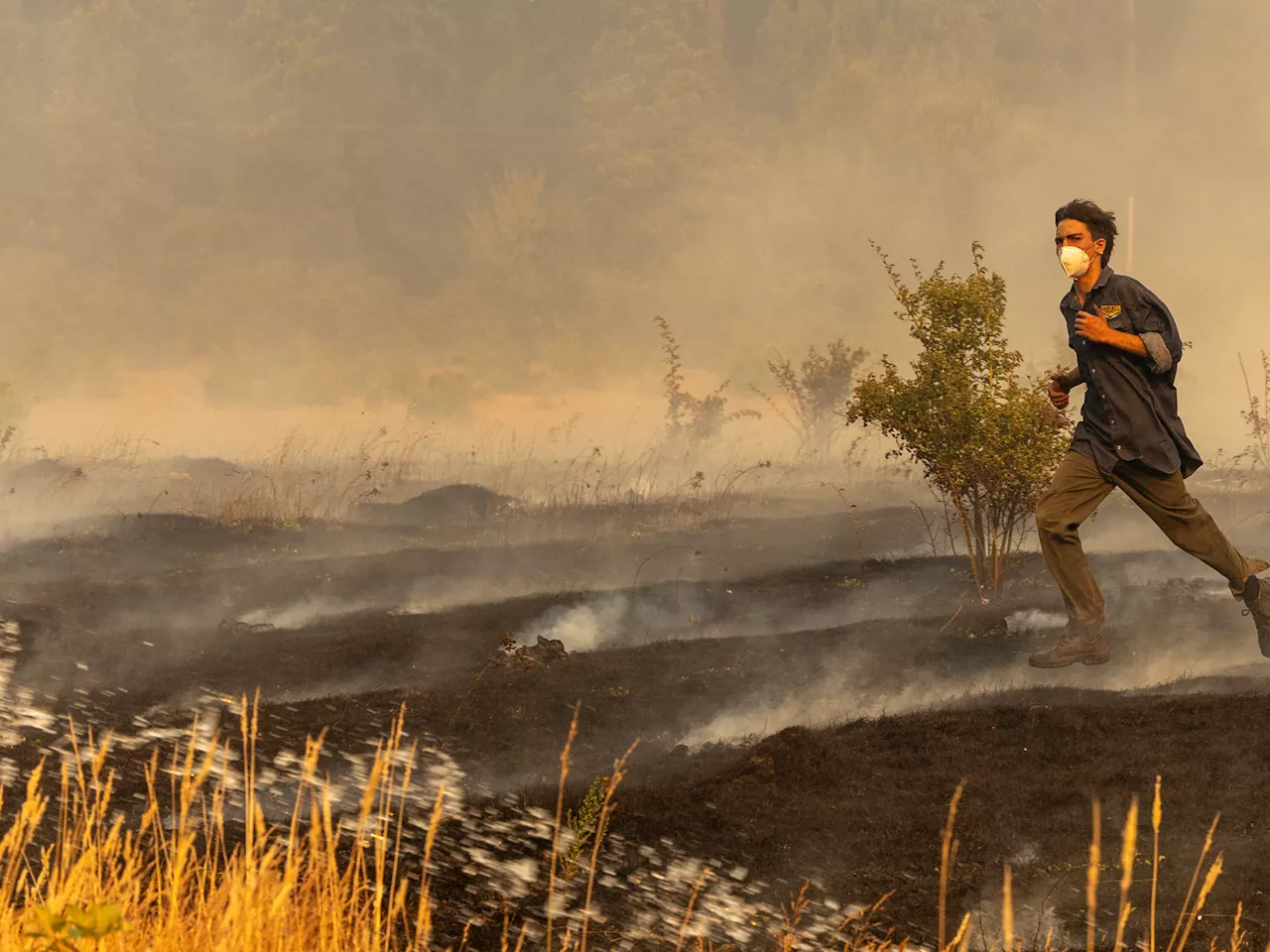 Incendio en El Bolsón: la lluvia trajo algo de alivio tras un día de fuego descontrolado, pero se esperan más vientos y nadie baja los brazos