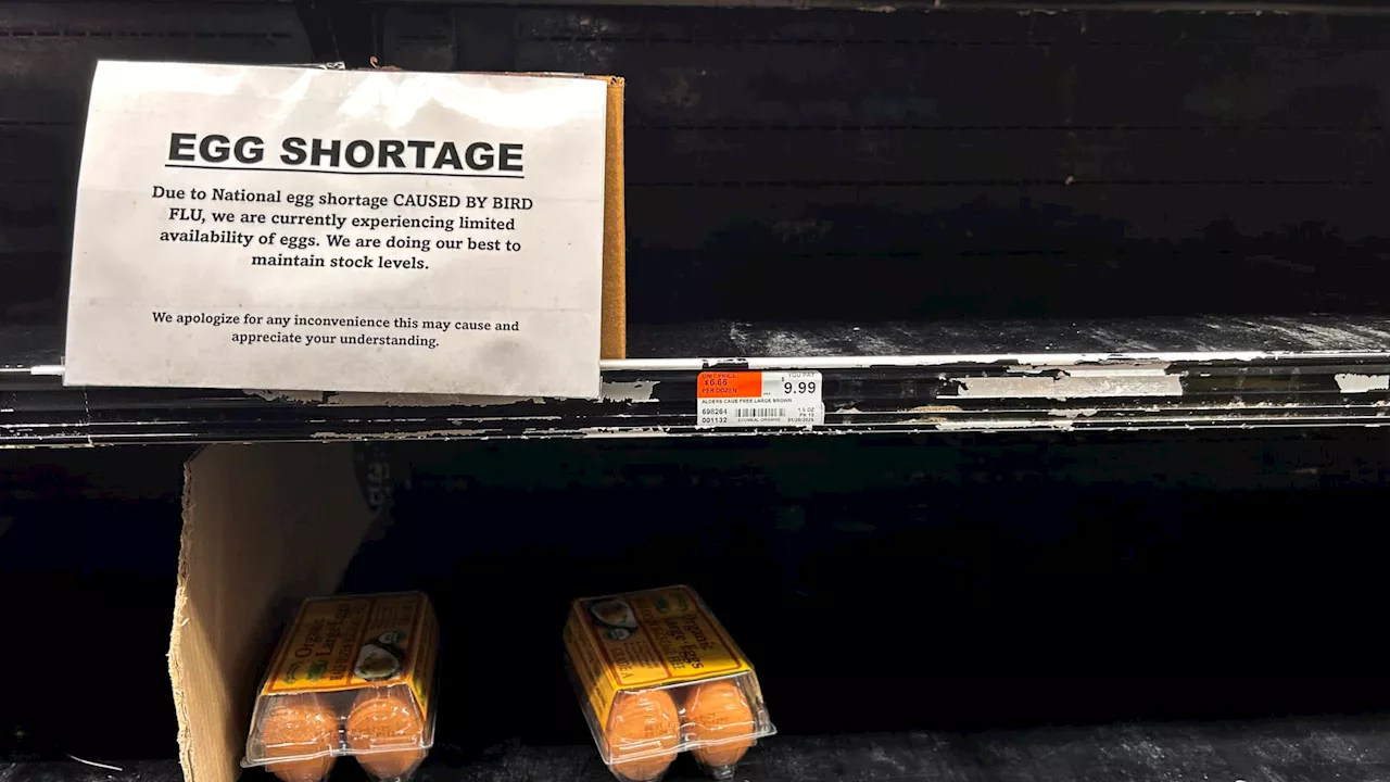 Wholesale egg prices have 'blown way past' record highs, analyst says