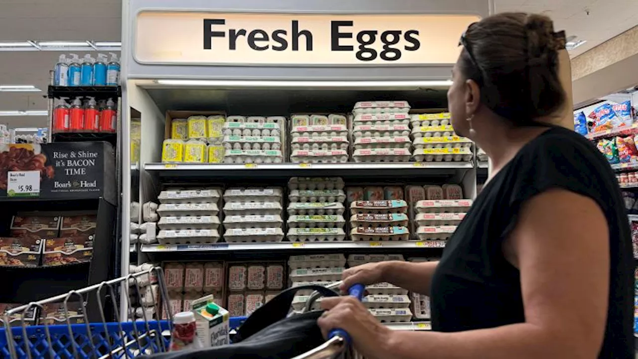 America's Egg Crisis: Blame Game and A Search for Solutions