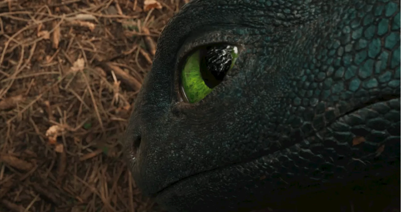 How to Train Your Dragon: The Hidden Kingdom Trailer Debuts During Super Bowl