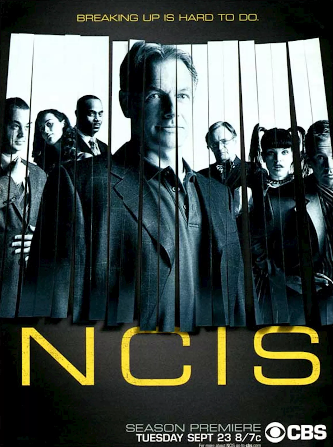 NCIS - Unità Anticrimine: Una Serie TV di successo