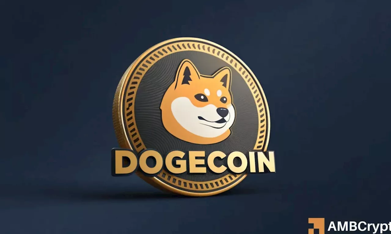 Dogecoin at a Crossroads: Can it Rebound or Face Further Decline?