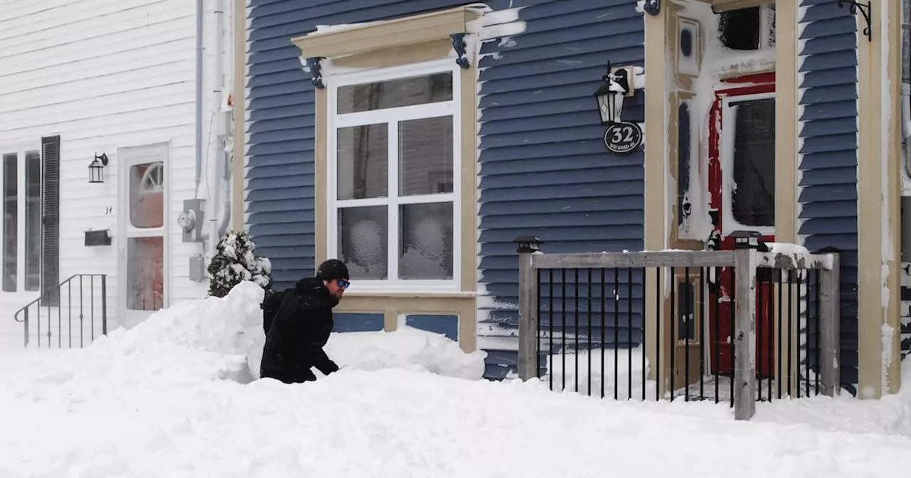 Storm grinds St. John's, N.L., to a halt, leaving capital under 40 cm of snow