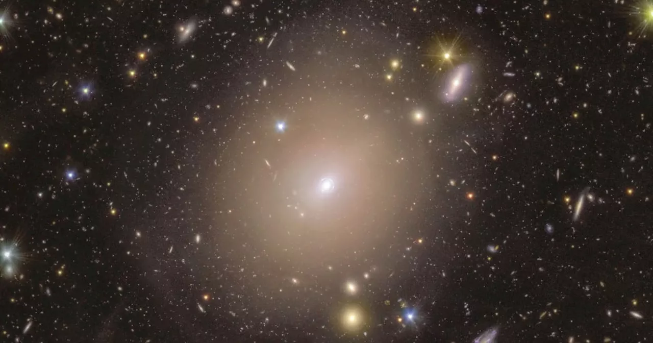 Space telescope spots rare ‘Einstein ring’ of light around galaxy in our cosmic neighbourhood