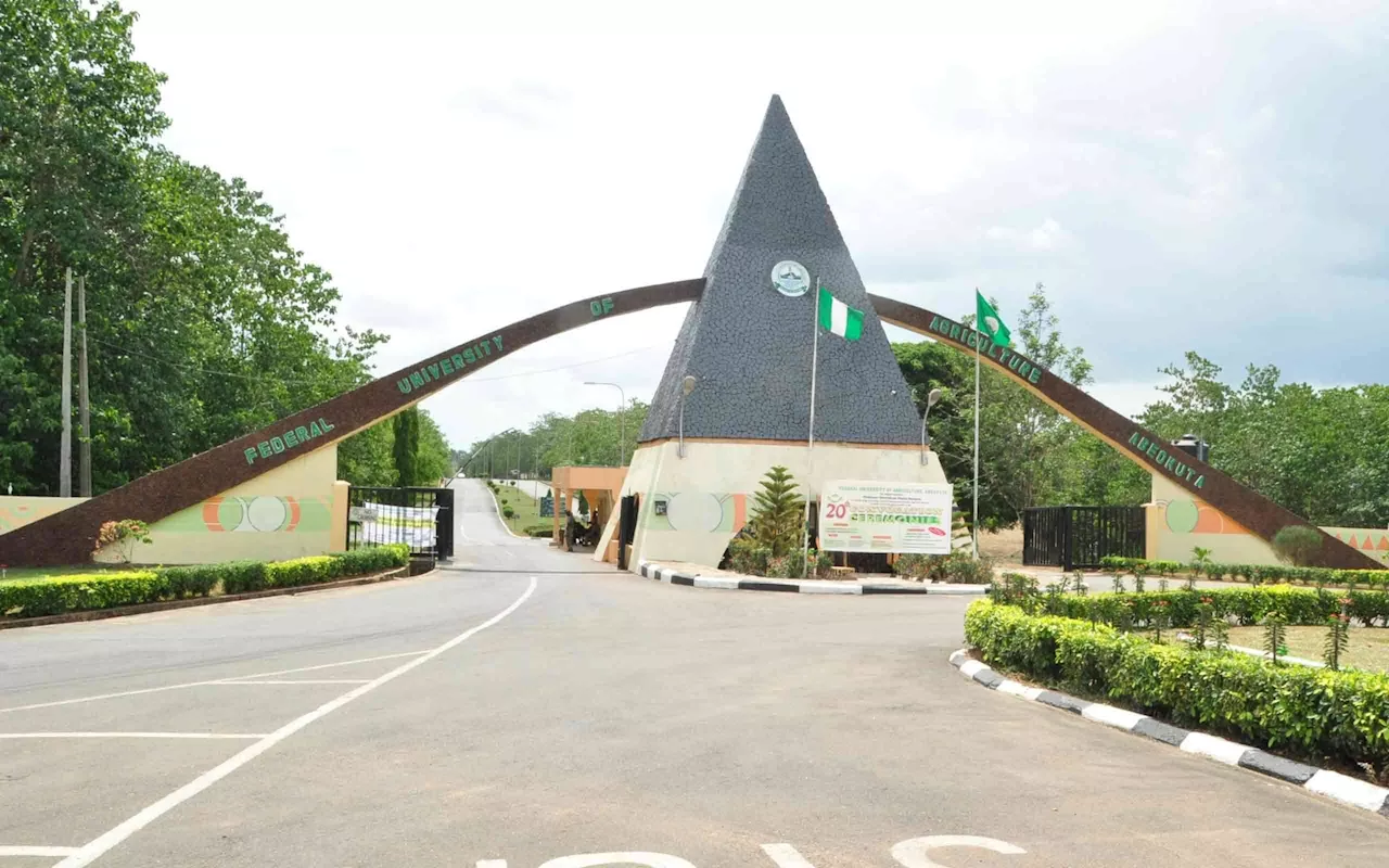 Dangerous using Nigeria as field laboratory for unprofitable ventures