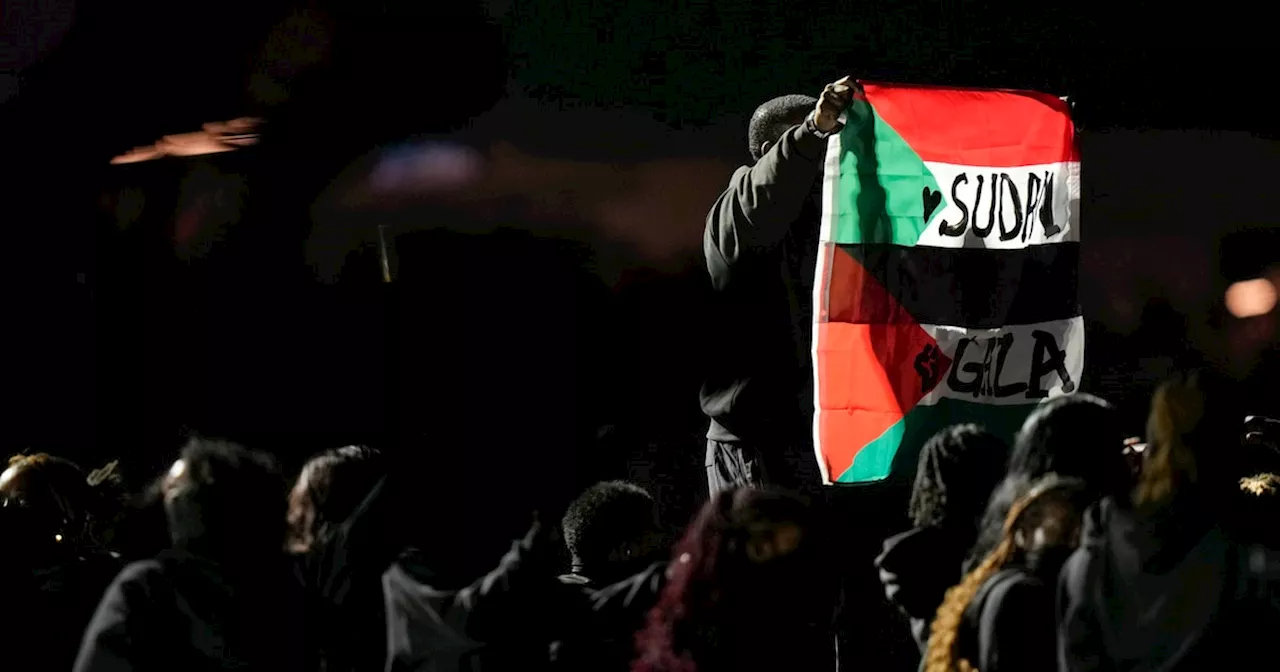 Super Bowl Attendee Detained for Displaying Sudanese-Palestinian Flag on Field