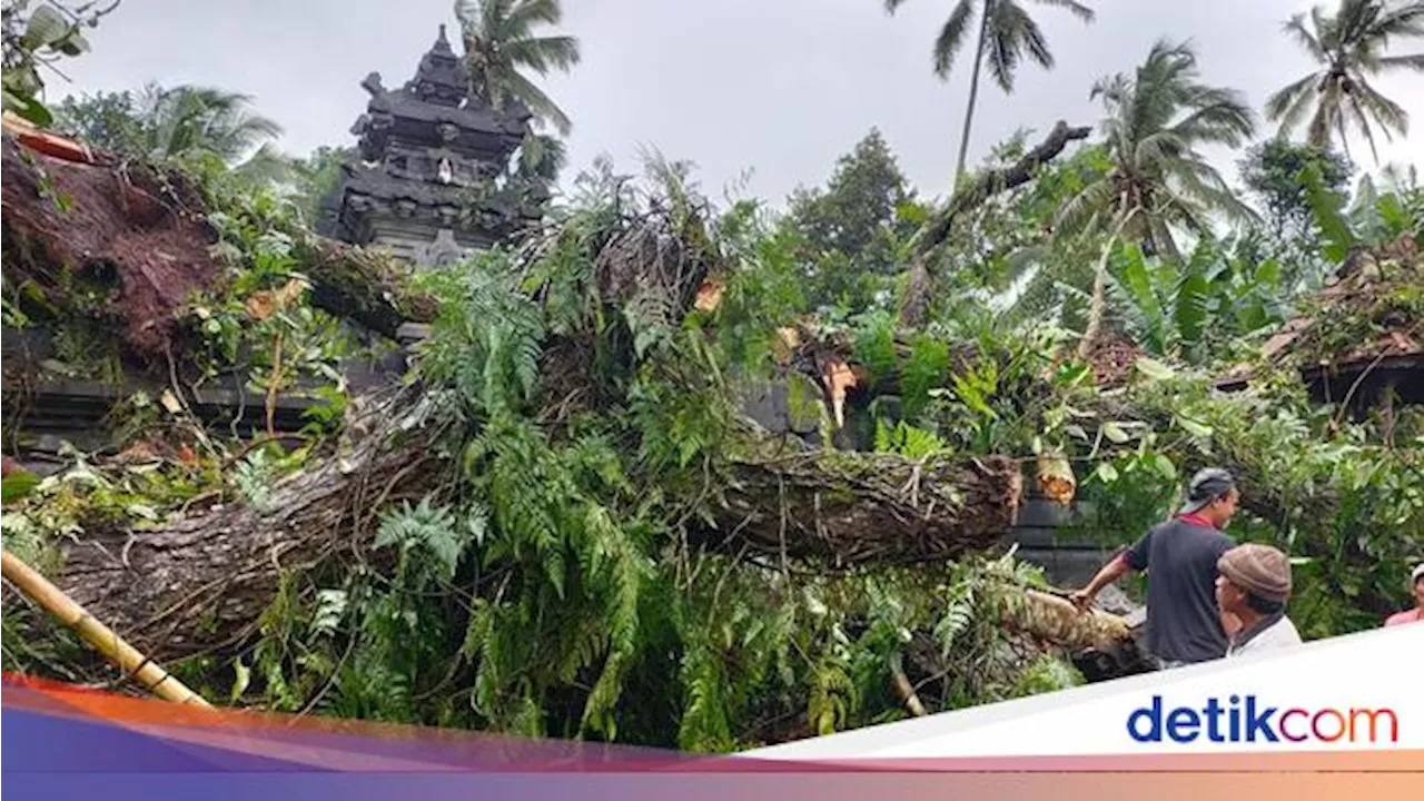 BPBD Catat 69 Kejadian Bencana di Bali dalam Sepekan, Empat Korban Meninggal