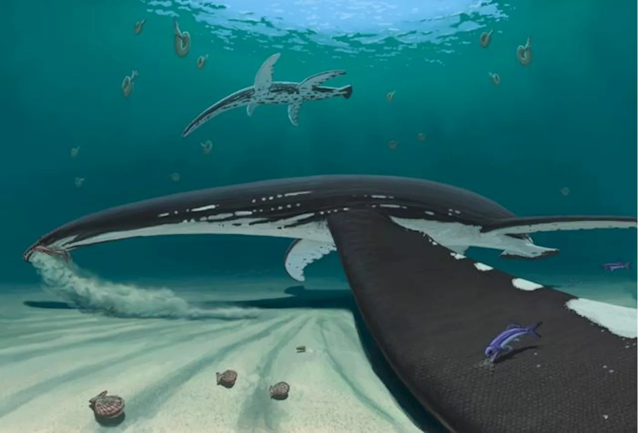 183-Million-Year-Old Fossil Reveals That Plesiosaur Skin Was Smooth and Scaly