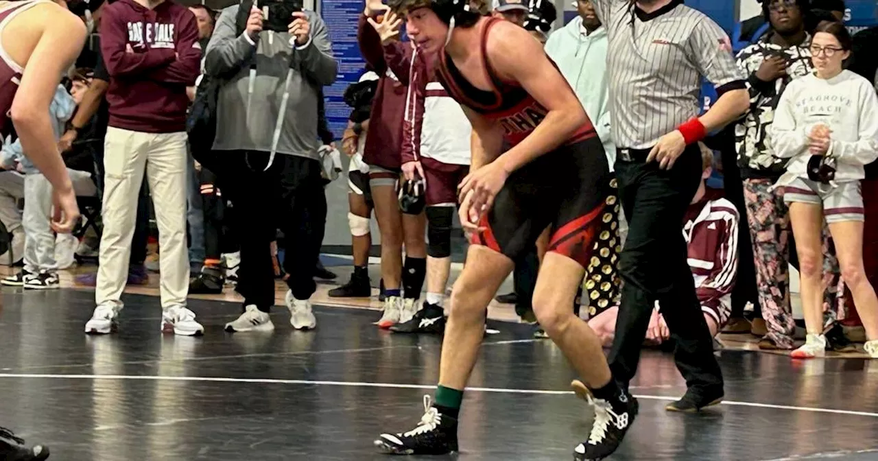 Dothan boys wrestling sets school records at section meet