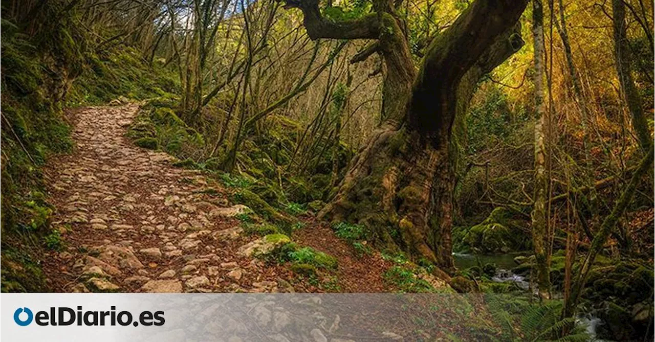 Una ruta por el Beyu Pen y el Camín Real de la Reina: recorrido, tiempo y dificultad