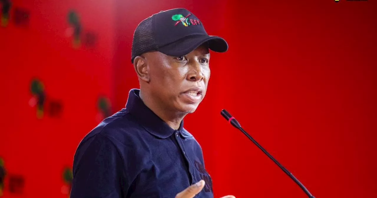 Musk clashes with Malema, calls for EFF leader to be declared an 'international criminal'