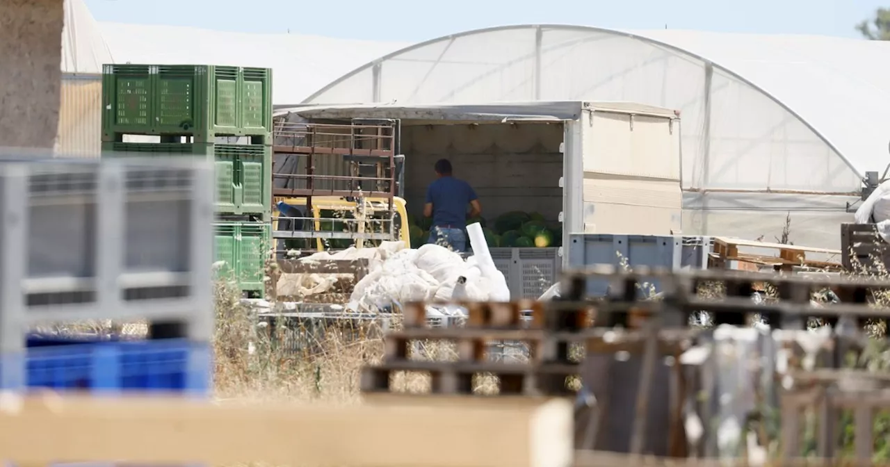 Latina, amputata la gamba a un bracciante. “Esposto a pesticidi”. Indaga la Procura