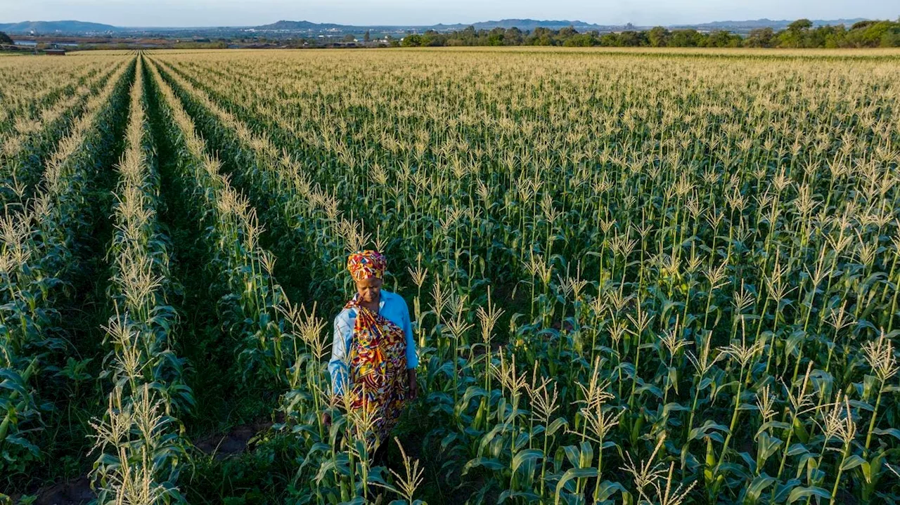 AI: Quietly Transforming Agriculture for a Better Future