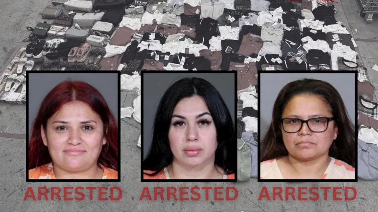 Three Women Arrested for Organized Retail Theft at Burlington Store in Plano