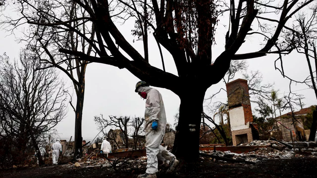 SoCal Wildfires: One Month of Devastation and the Long Road to Recovery