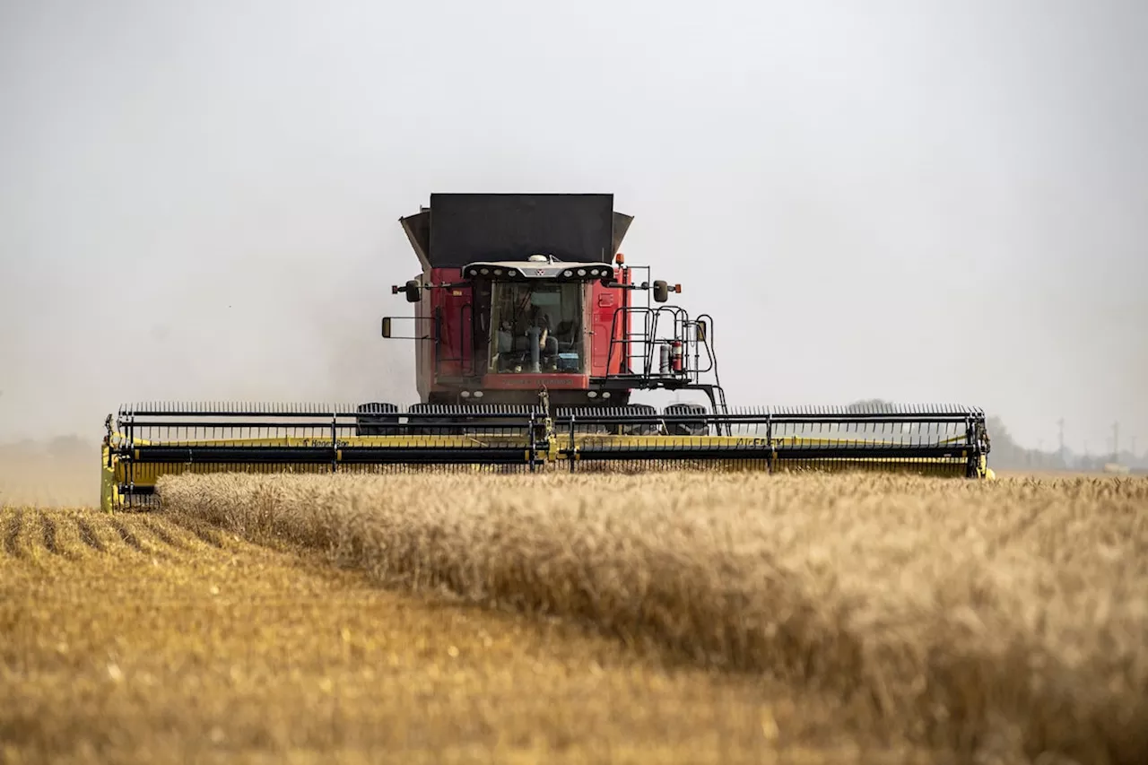 Stocking Your Pantry with Canadian Crops