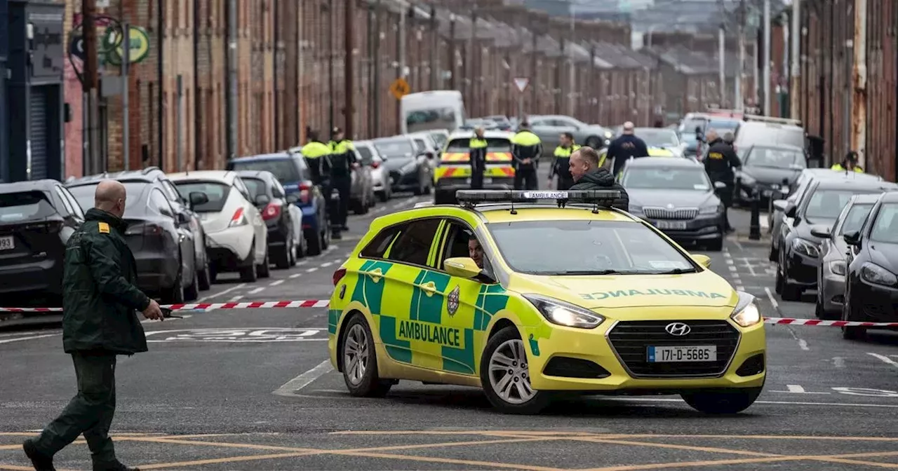 Gardai praised for 'quick response' to Stoneybatter knife spree attack