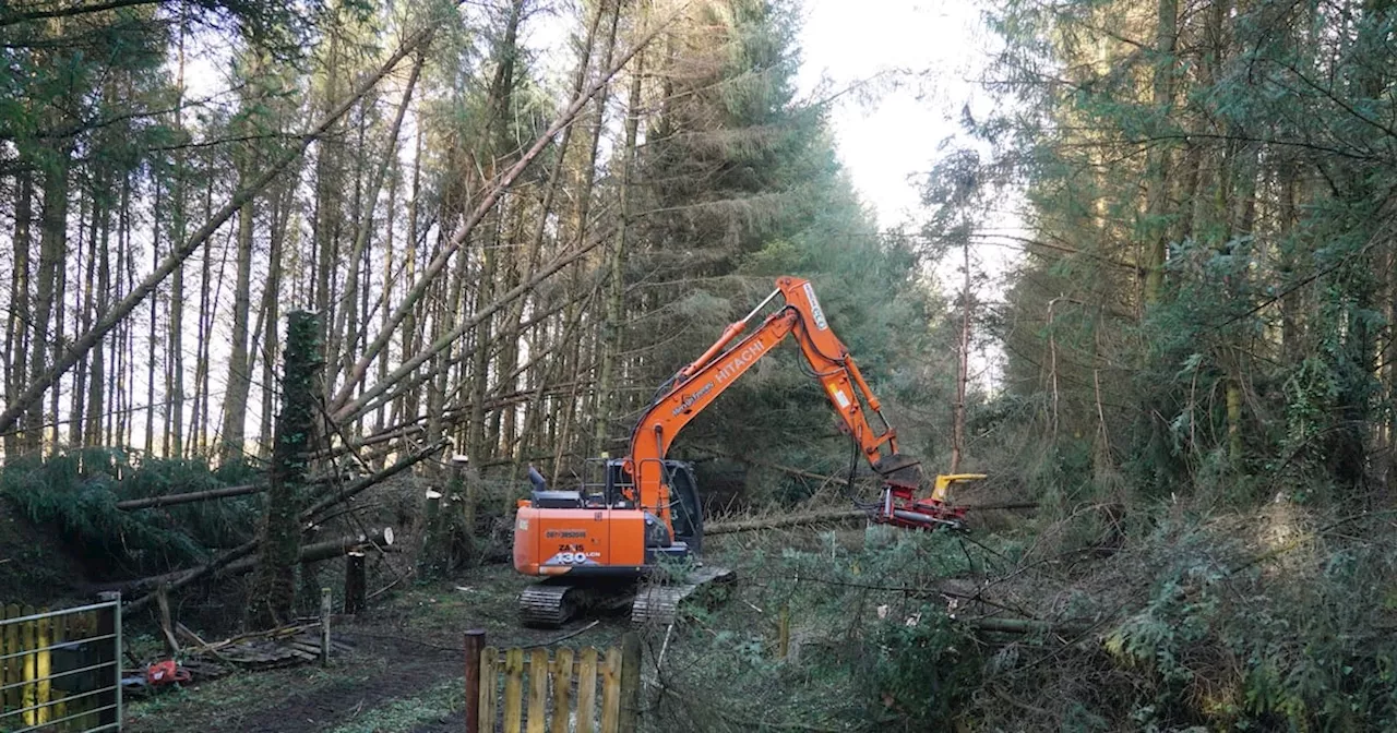 Roscommon household has power restored 18 days after Storm Éowyn