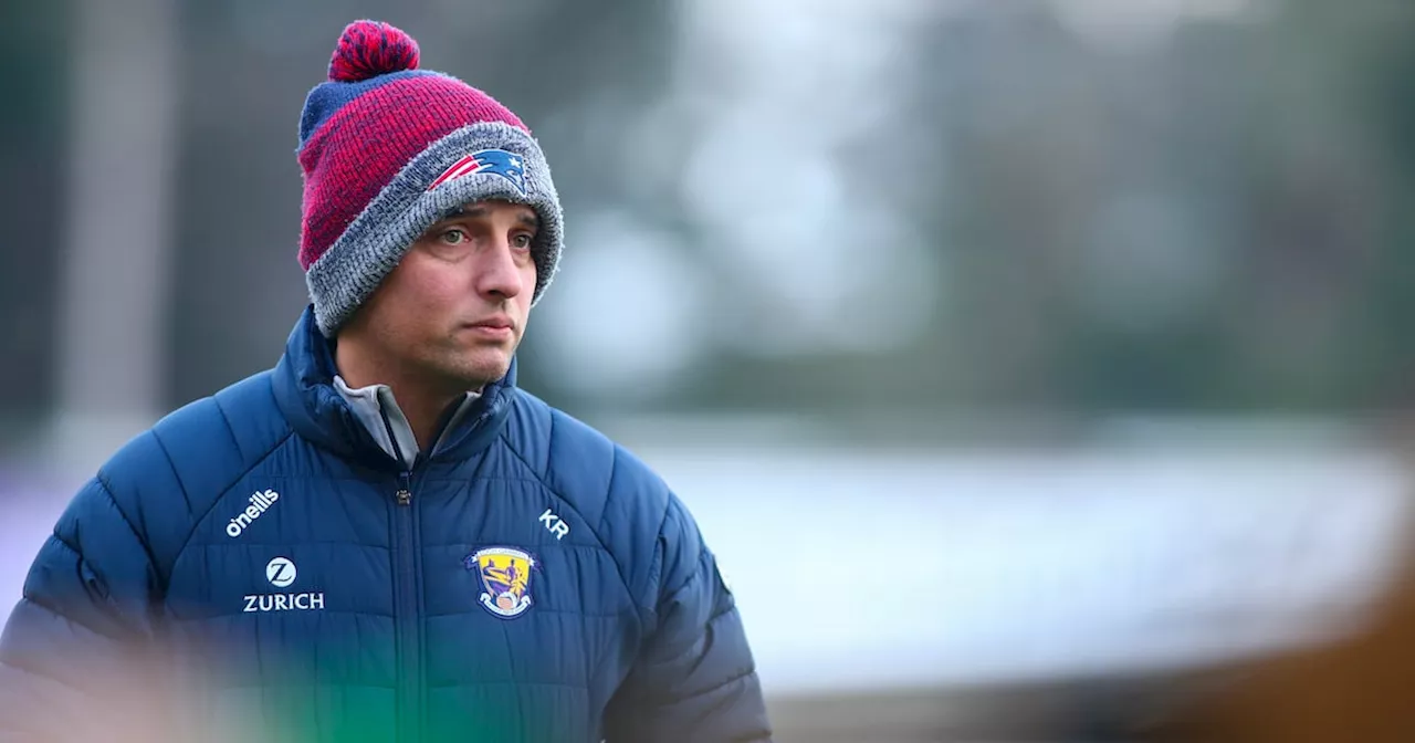 Wexford's Hurling Challenges: Retirements, Injuries, and the Quest for Development