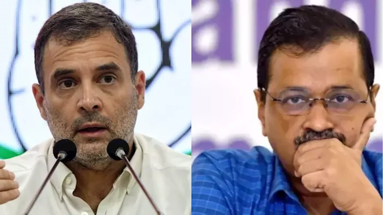 'AAP-कांग्रेस एक दूसरे को खत्म करने के लिए ही लड़े...', दिल्ली चुनाव पर इंडी गठबंधन के नेता की खरी-खरी