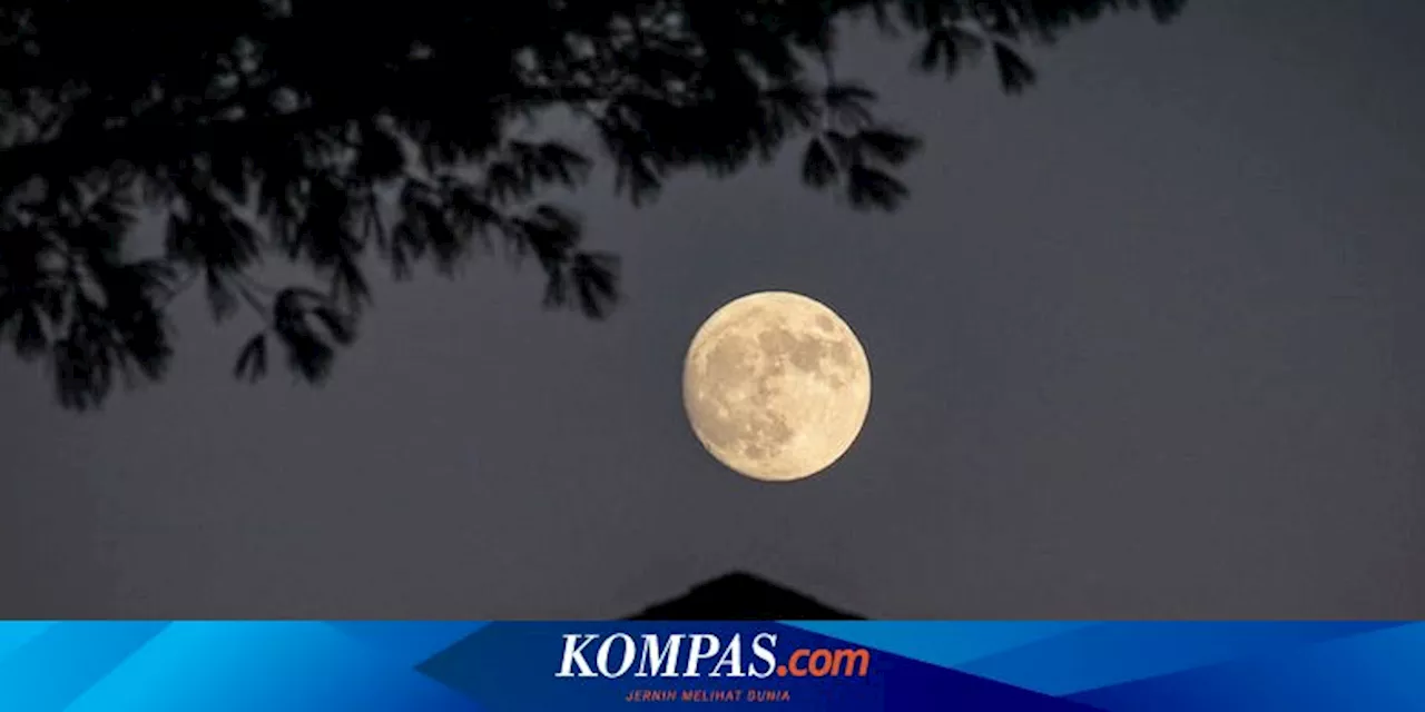 Ilmuwan Bantah Teori Penurunan Suhu Bulan Akibat Pandemi