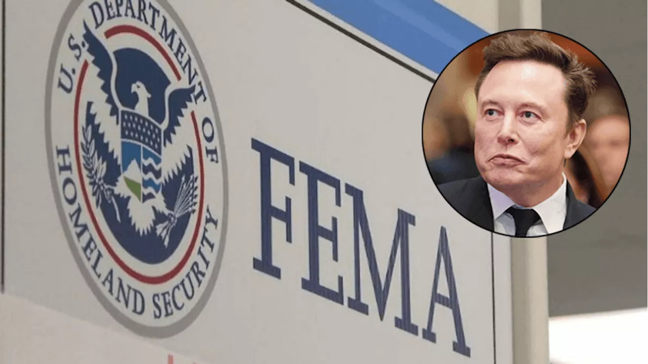 DOGE sounds alarm over $59M FEMA payment for NYC migrant housing: 'Gross insubordination'